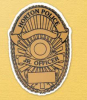 Police Badge Plastic Badge (2