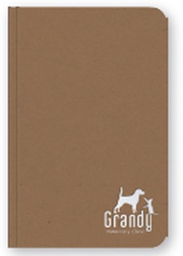 Bright Notes- Jotter Pad - 4