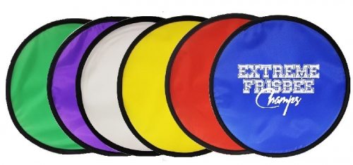 Flying Disc w/ Pouch
