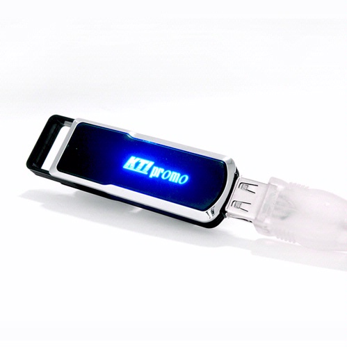 2GB LED Glow USB Drive 100
