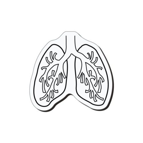 Lungs MAGNET
