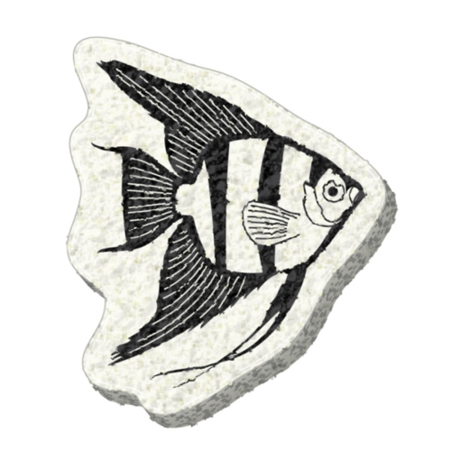 FISH (Angelfish) SPONGE