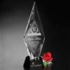 Chaska Award 15