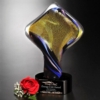 Golden Twist Award 11