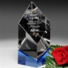 Vicksburg Indigo Award 6