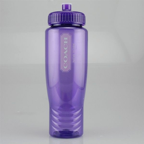 28 oz Journey Bottle - Purple