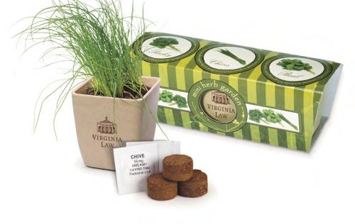 GrowPot Eco-Planter Herb 3-Pack
