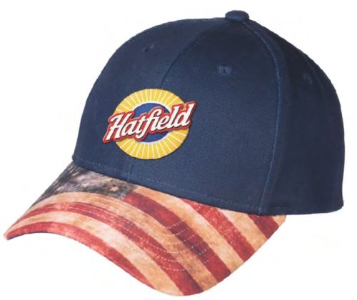 Patriotic 6-Panel Hat