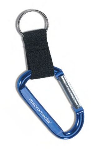 Clip-and-Go Carabiner Key Tag