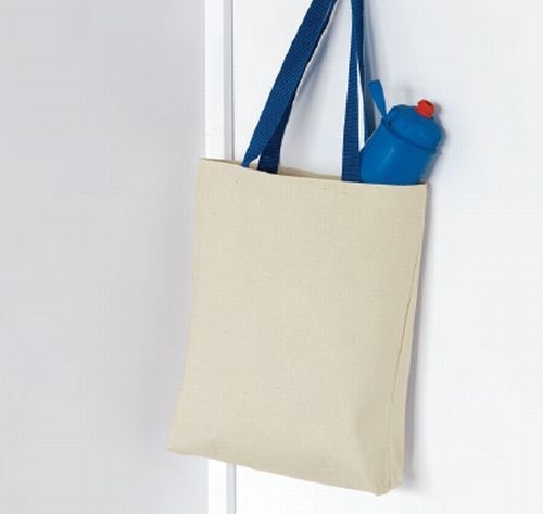 11L Canvas Tote With Contrast-Color Handles