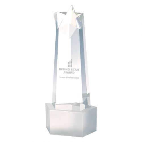  Rising Star Tower Award