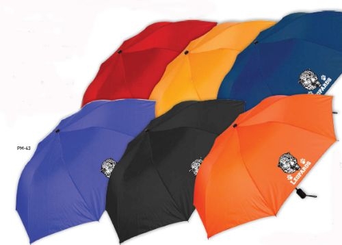 Manual Open Folding Umbrella