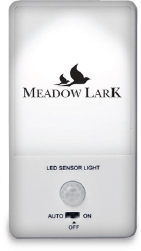 LED Motion Night Light