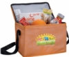 Non-Woven Shimmer Lunch Cooler - New