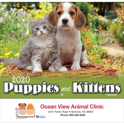 2020 Puppies & Kittens Wall Calendar - Stapled