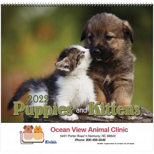 2022 Puppies & Kittens Wall Calendar - Spiral