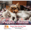 Puppies & Kittens Wall Calendar - Spiral - 2023