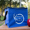Crater Non-Woven Cooler/Lunch Bag
