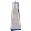 Sculpted Star Acrylic Award (3 1/2