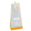 Sculpted Star Acrylic Award (3 1/2