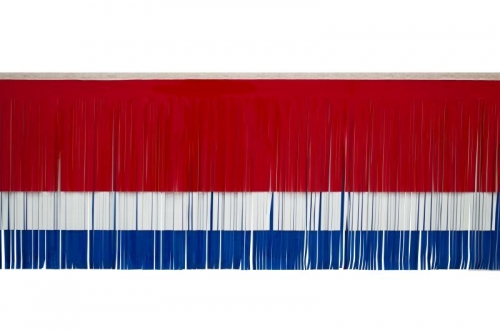 Victory Corps™ Standard Red, White & Blue Fringe (15