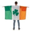 St. Patrick's Day Body Flag