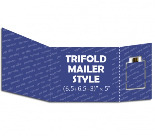 Trifold Mailer (6.5+6.5+3)