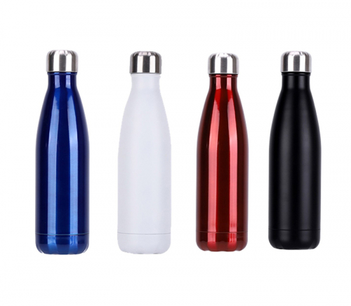 Stainless Steel Cola Bottle, 17 oz.