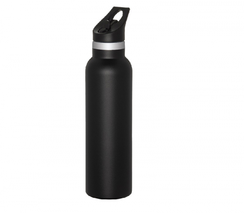 Double Wall Stainless Steel Water Bottle with Straw, 20 oz.