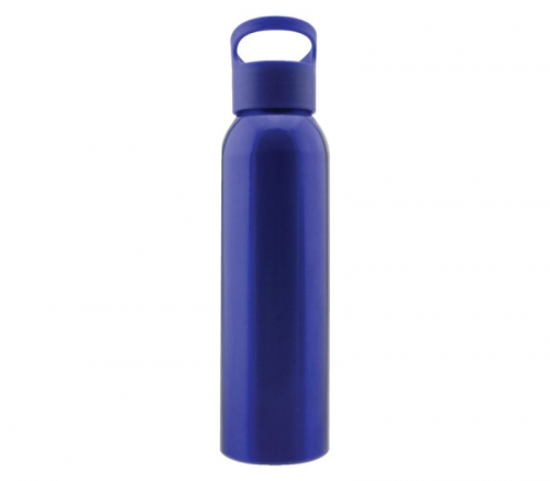 Stainless Steel Water Bottle, 20 oz.