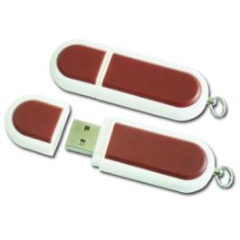 Colorful Plastic Stick USB Flash Drive