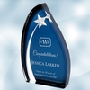 Acrylic Oval Star Award (L)