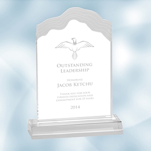 Clear Frosted White Cap Edge Acrylic Award - Small