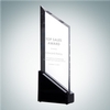Rising Sail Award | Optical Crystal