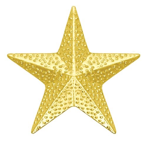 Star Chenille Lapel Pin (7/8