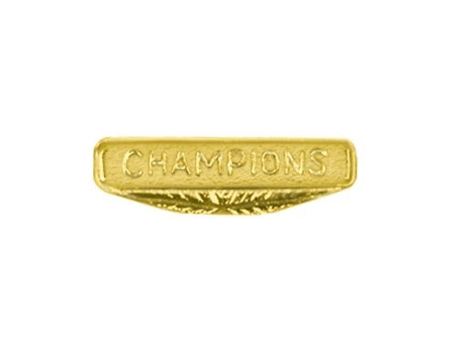 Champions Chenille Lapel Pin