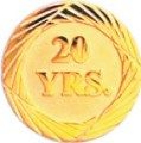 Bright Gold 20 Year Service Lapel Pin