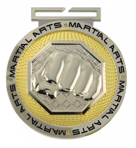 Dual Plated Martial Arts Medallions 3
