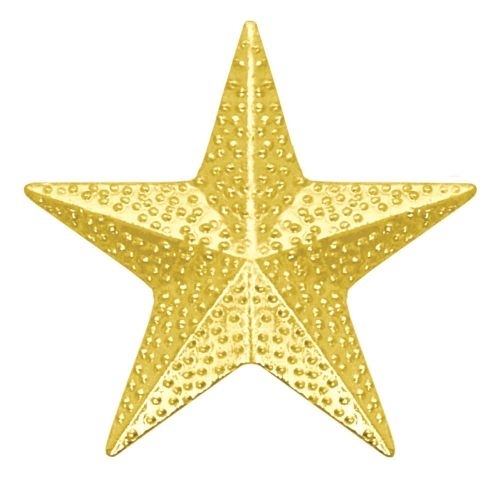 Chenille Pin STAR