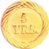 Bright Gold 5 Year Service Lapel Pin