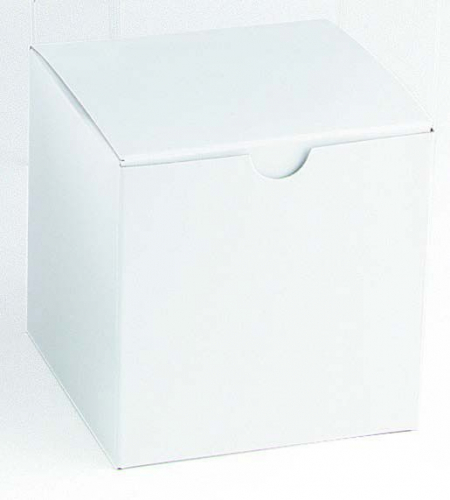 Damage Resistant Master Cartons - 24x16x13 - Standard White Gift Box