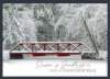 Winter Railroad Bridge - NEW
