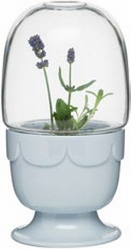 Green greenhouse on a stand with a glass dome, lavender blue