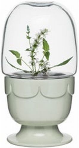 Green greenhouse on a stand with a glass dome, sage green