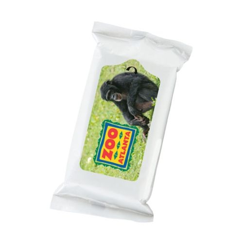 Insect Wipes Pack