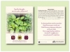 Mixed Herbs Seed Packet - Size  3.25
