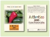 Jalapeno Pepper Seed Packet - Size  3.25