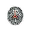 Solid Pewter Lapel Pin (1¼)