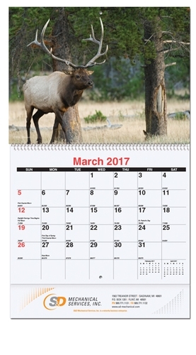 Wildlife Monthly Wall Calendar w/Coil Bound (10 5/8
