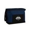 Sawyer Point Picnic Cooler